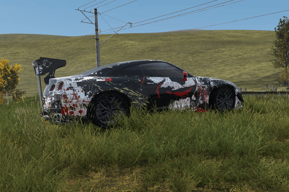 Custom Vehicle Skin