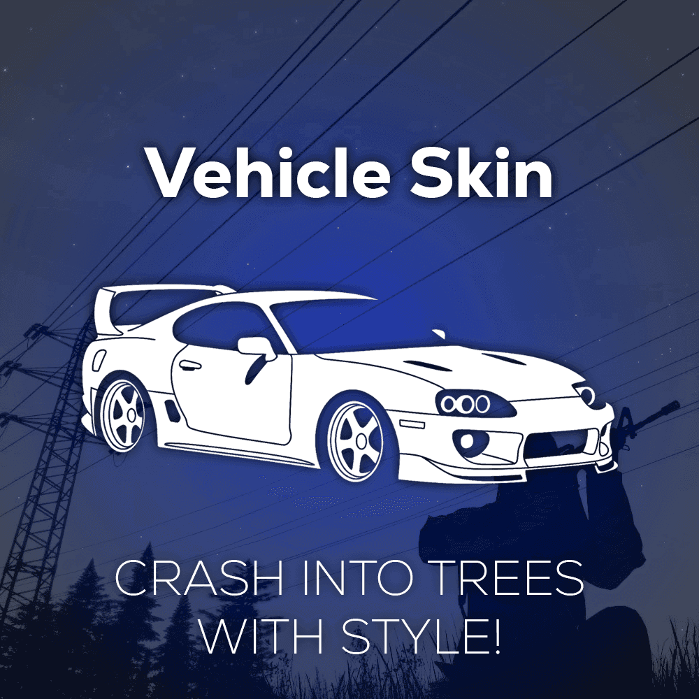 Custom Vehicle Skin